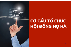 Cơ cấu tổ chức và hoạt động của Hội đồng họ Hà Việt Nam 